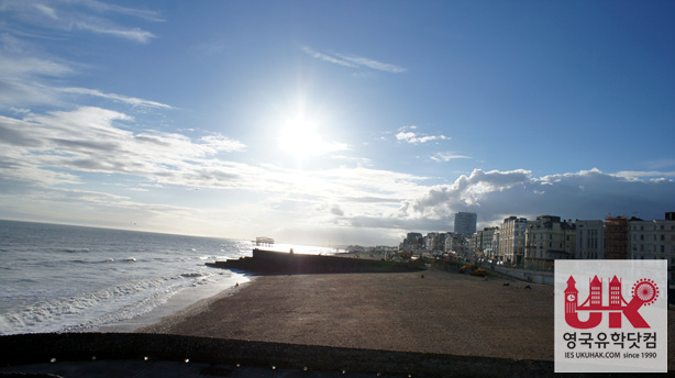 SONY DSC