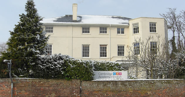 cae1
