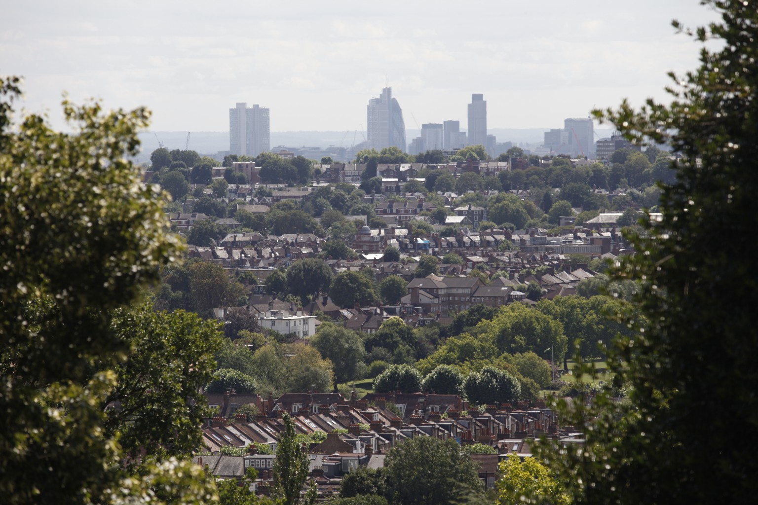 Excel_Muswell Hill 1