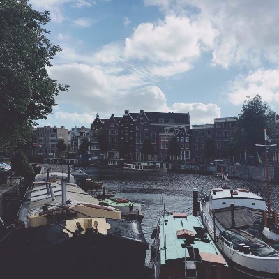 image_3462824221472002791195