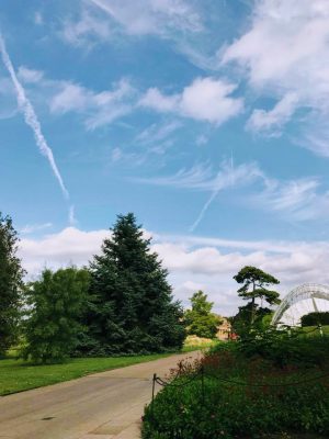 correspondent_MH-Hong_Kew-Gardens_00006-300x400