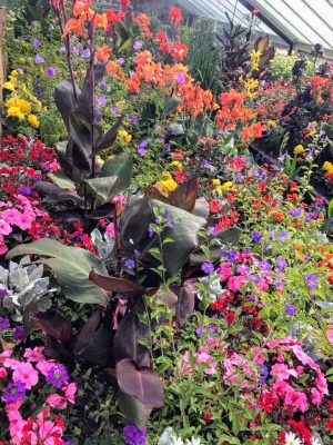 correspondent_MH-Hong_Kew-Gardens_00012-300x400