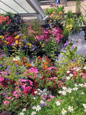 correspondent_MH-Hong_Kew-Gardens_00016-300x400