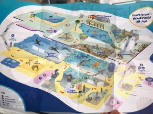 student-life-js-yang-151217-oceanarium-bournemouth-00001-300x225