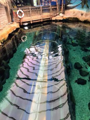 student-life-js-yang-151217-oceanarium-bournemouth-00003-300x400