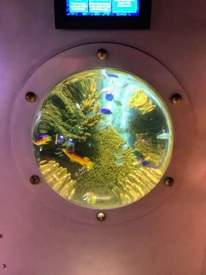 student-life-js-yang-151217-oceanarium-bournemouth-00004-300x400