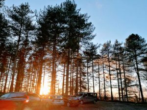 student-life-311217-HONG-MOORS-VALLEY-00006-300x225