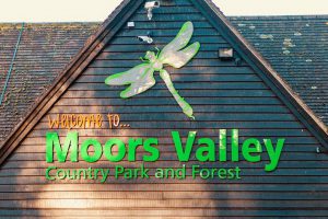 student-life-311217-HONG-MOORS-VALLEY-00008-300x200