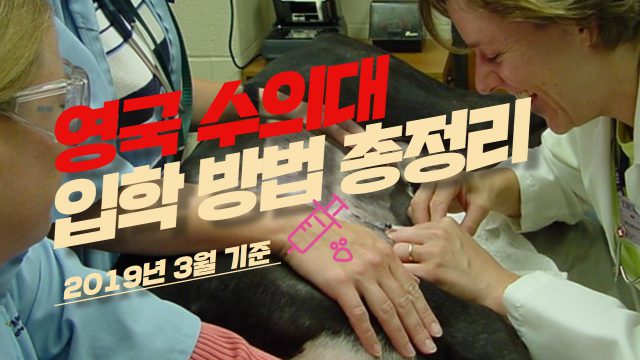 오늘은 2019년 3월 현재를 기준으로, 영국 수의대 입학 방법에 대해 정리하도록 할테니 참고 부탁 려요.